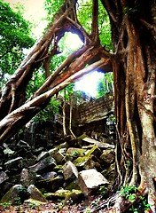 Image showing Jungle temple