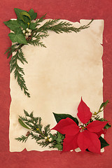 Image showing Poinsettia Decorative Border