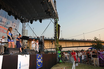 Image showing Belgrade Boat Carnival