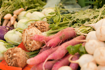 Image showing fresh root vegetable carrot potatoes onion beet on market 