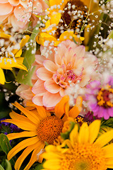 Image showing beautiful colorful collection of flowers spring summer celebration