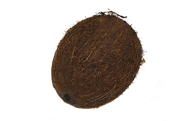 Image showing Coconut