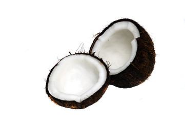 Image showing Coconut