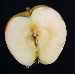 Image showing Apple