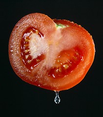 Image showing Tomato