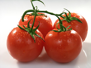 Image showing Tomato