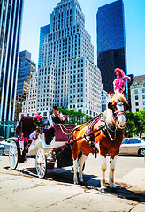 Image showing Horse carriage at the Central park in New York City 