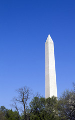 Image showing Washington Monument in Washington D.C.