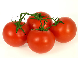 Image showing Tomato