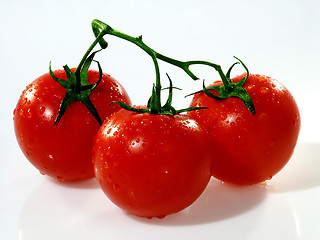 Image showing Tomato