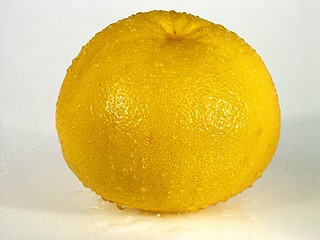 Image showing Lemon