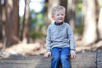 Image showing child in the woods