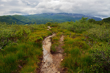 Image showing Footpath in the mountains