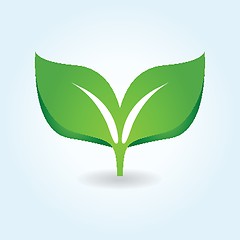 Image showing Vector illustration of green leaves. Eco concept