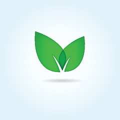 Image showing Vector illustration of green leaves. Eco concept