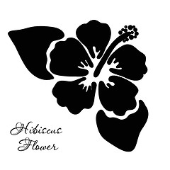 Image showing Vector illustration of hibiscus flower