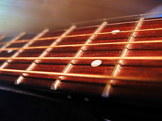 Image showing A guitar fretboard.