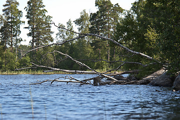 Image showing Wild lake landscape.