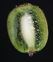 Image showing kiwi