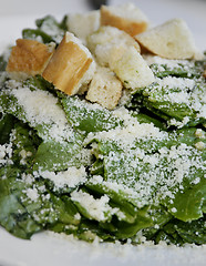 Image showing Salad Close Up