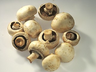 Image showing mushrooms