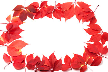 Image showing Autumn leaves frame isolated on white background