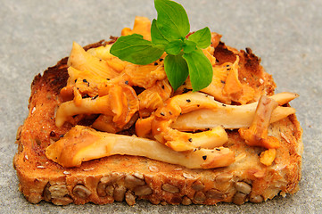 Image showing Chanterelles on toast