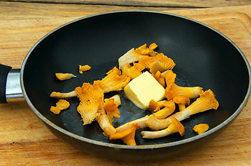 Image showing Chanterelles in butter