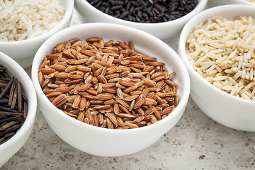 Image showing brown rice grain