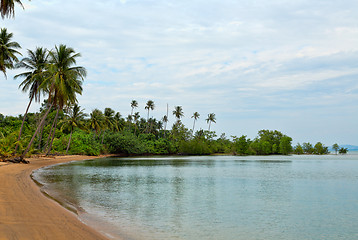 Image showing tropical beach with palm trees