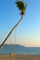 Image showing Empty swing hanging from a tree on romantic