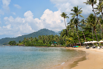 Image showing tropical beach, palm trees