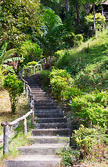 Image showing Stairway to jungle