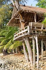 Image showing Jungle accommodation