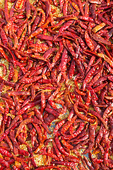 Image showing Dry red chili pepper background