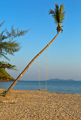 Image showing Swings on palm on tropical beach