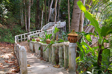 Image showing walking bridge in the jungle