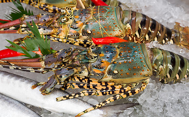 Image showing fresh lobsters on ice