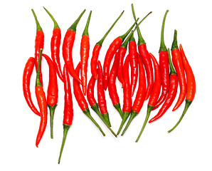 Image showing Pile of red chili peppers isolated on white