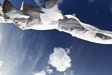 Image showing 1443 White shirts drying on breeze against blue sky with fluffy 
