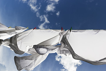 Image showing 1445 White shirts drying on line against a blue sky