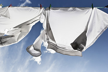 Image showing 1448 white shirts on washing line