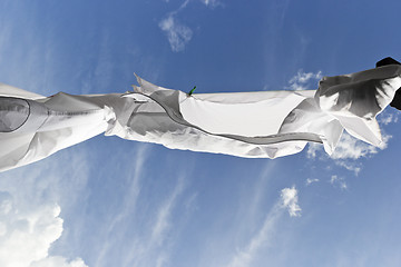 Image showing 1449 white shirts drying on clothes line