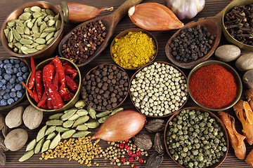 Image showing Indian spices