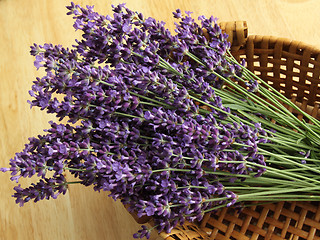 Image showing Bunch of lavender