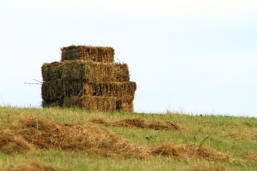 Image showing hay up on the hill