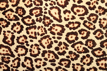 Image showing pattern of leopard fur