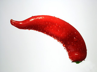 Image showing Pepper
