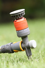 Image showing water sprinkler in the garden