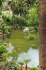 Image showing Tranquil pool in a landscaped garden